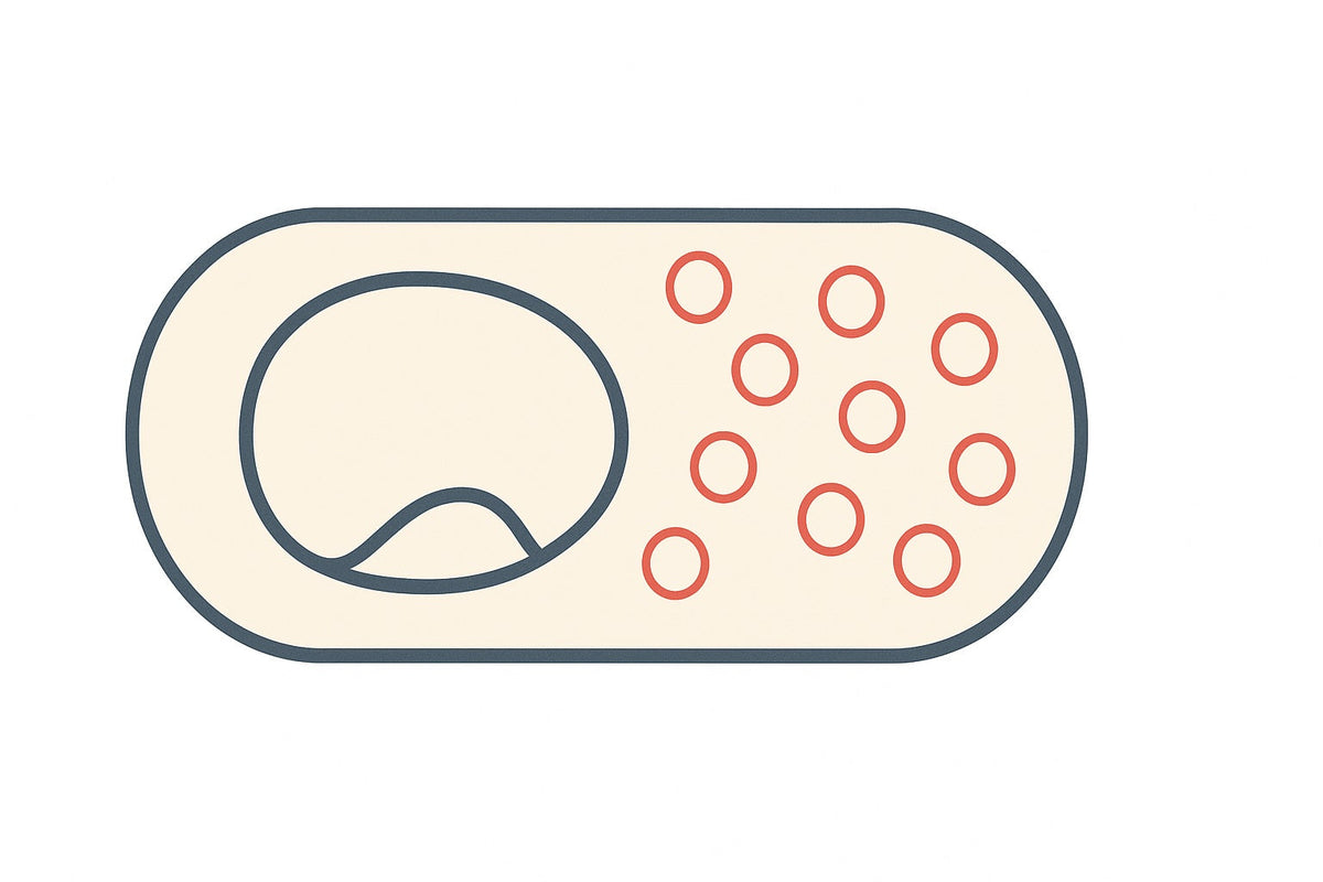 plasmids in bacterial cell