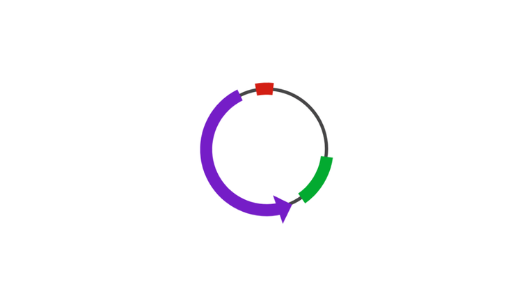 Classic Vectors