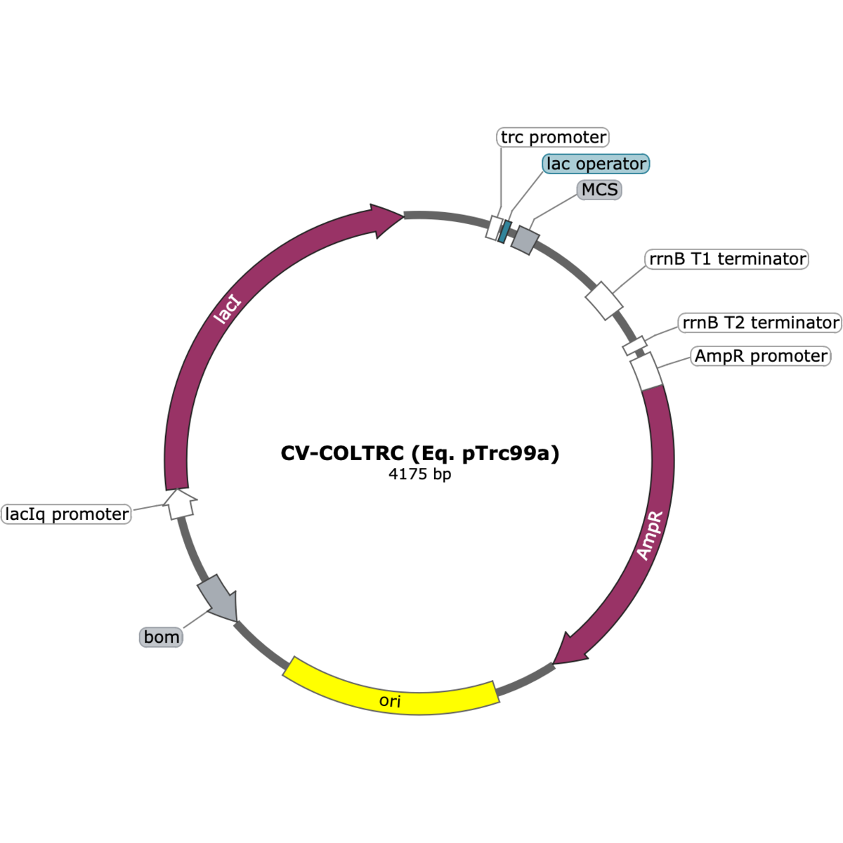 CV-COLTRC (Eq. pTrc99a)