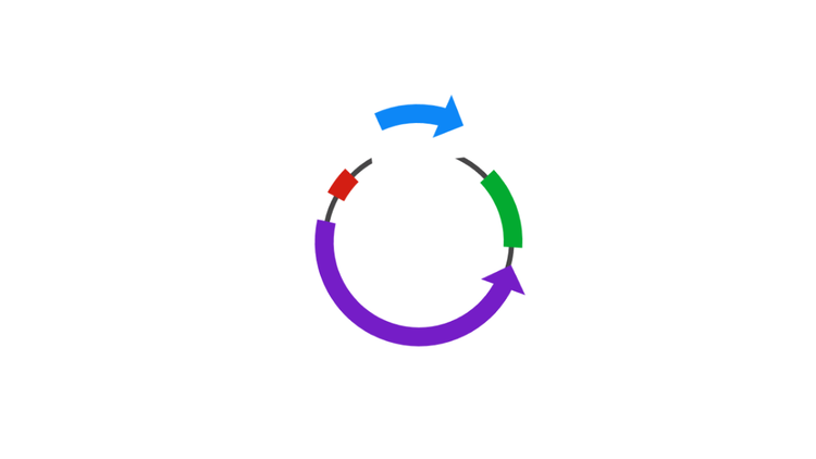 Classic Cloning Vectors