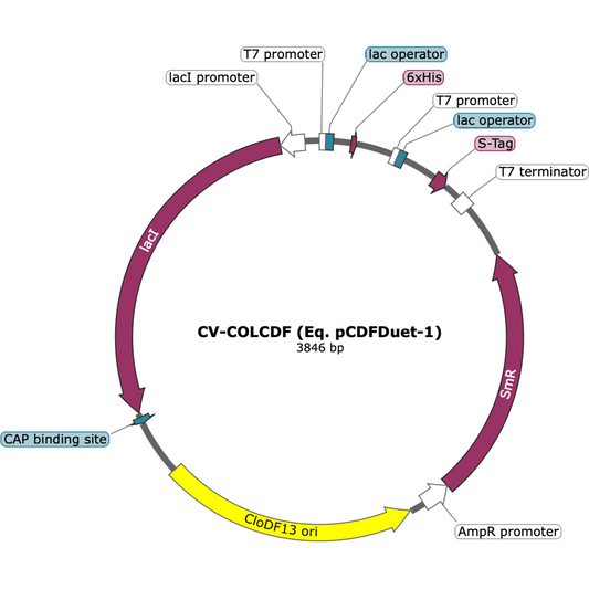 CV-COLCDF (Eq. pCDFDuet-1)