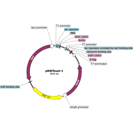 CV-COLRSF (Eq. pRSFDuet-1)