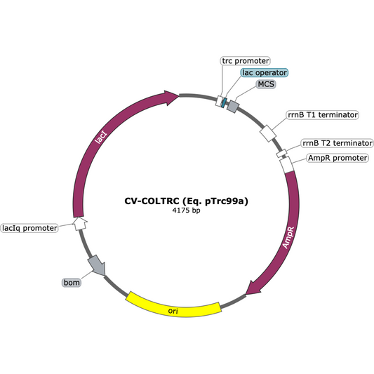 CV-COLTRC (Eq. pTrc99a)